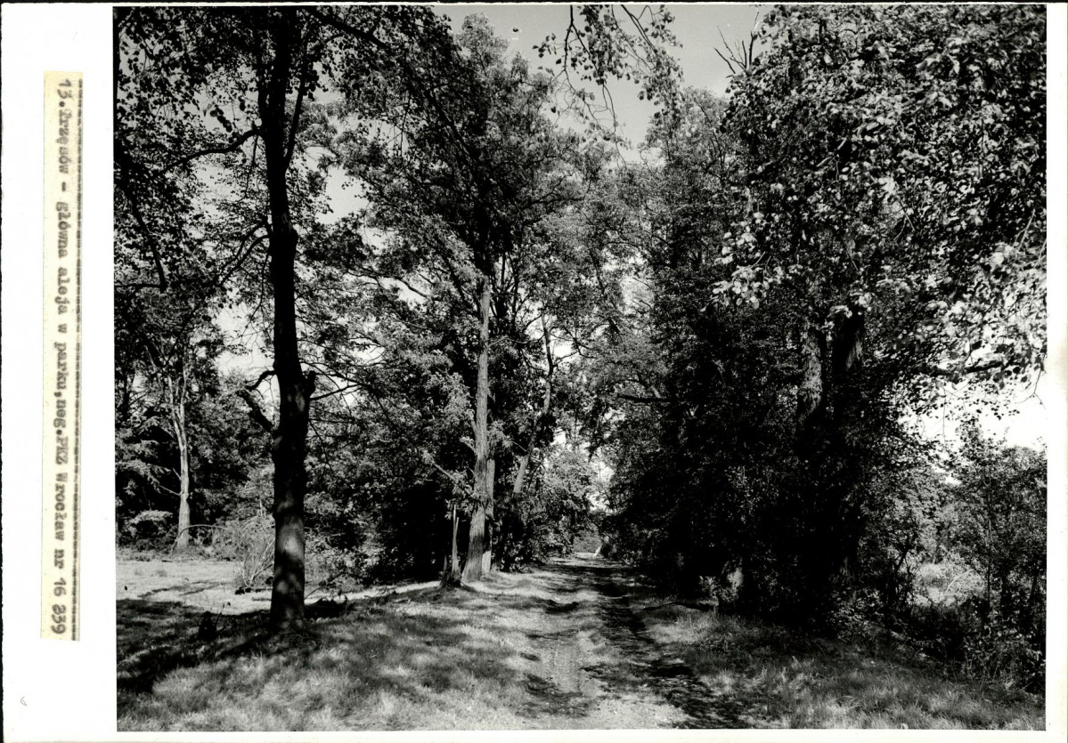 Ewidencja parkowa, skan nr 28