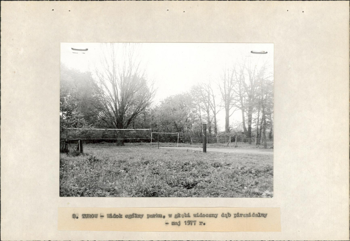 Ewidencja parkowa, skan nr 21