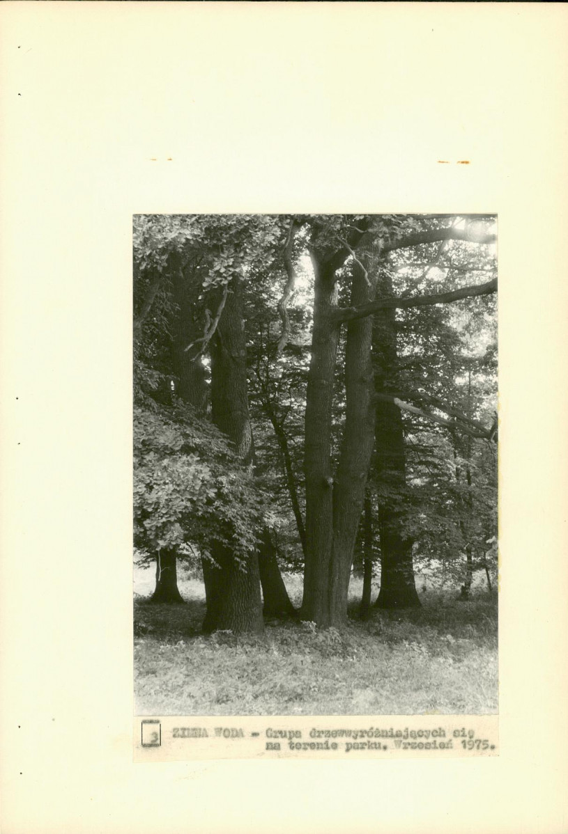 Ewidencja parkowa, skan nr 22