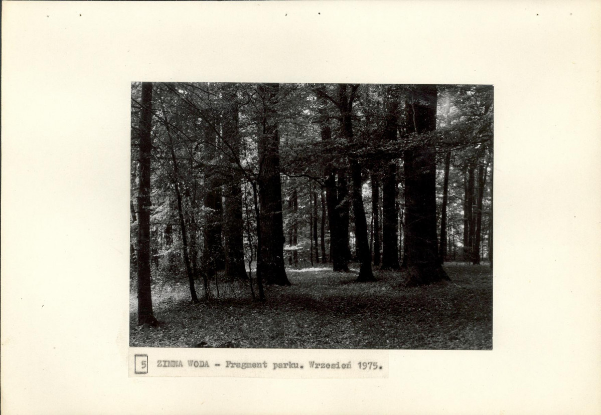 Ewidencja parkowa, skan nr 24