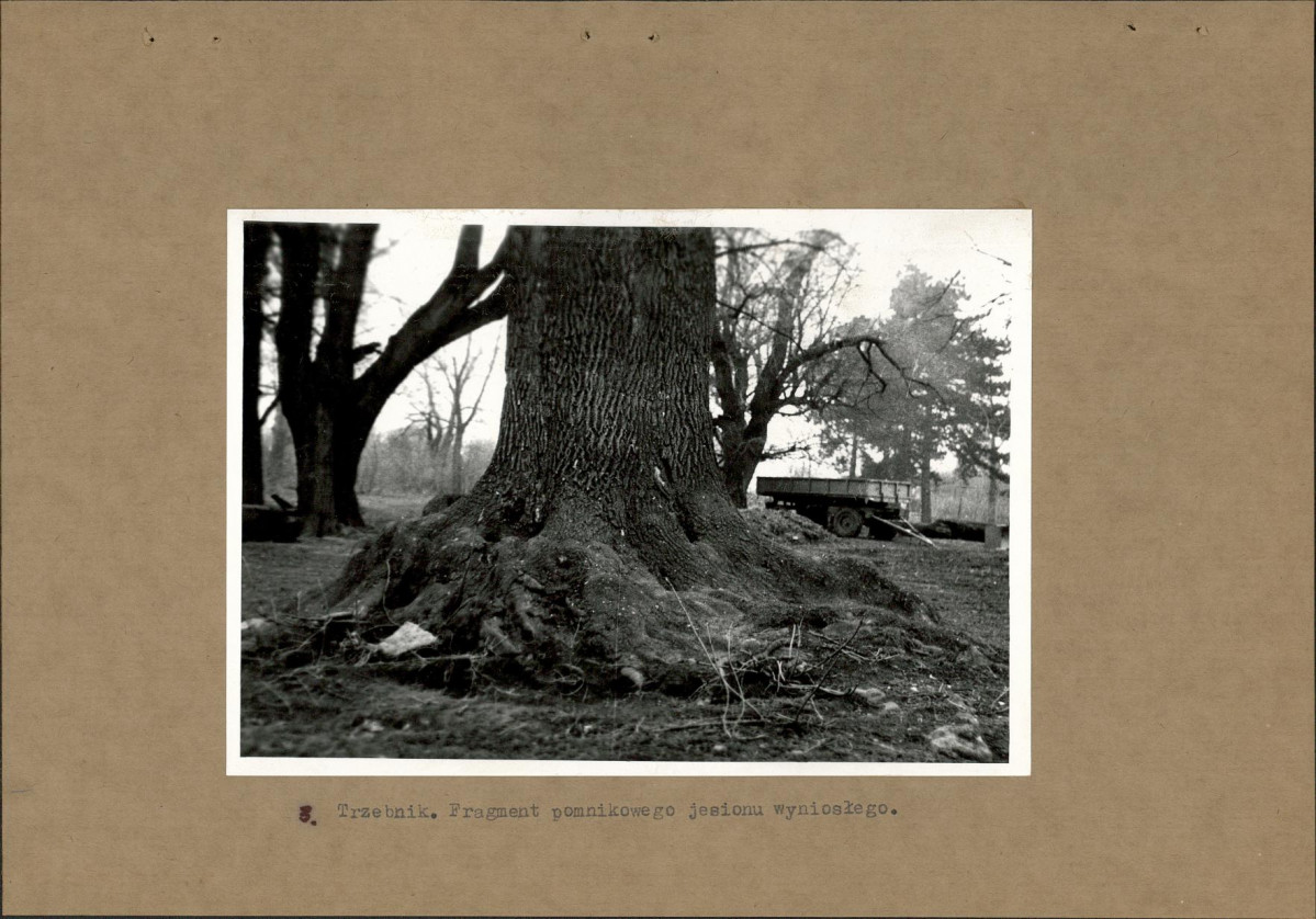 Ewidencja parkowa, skan nr 16