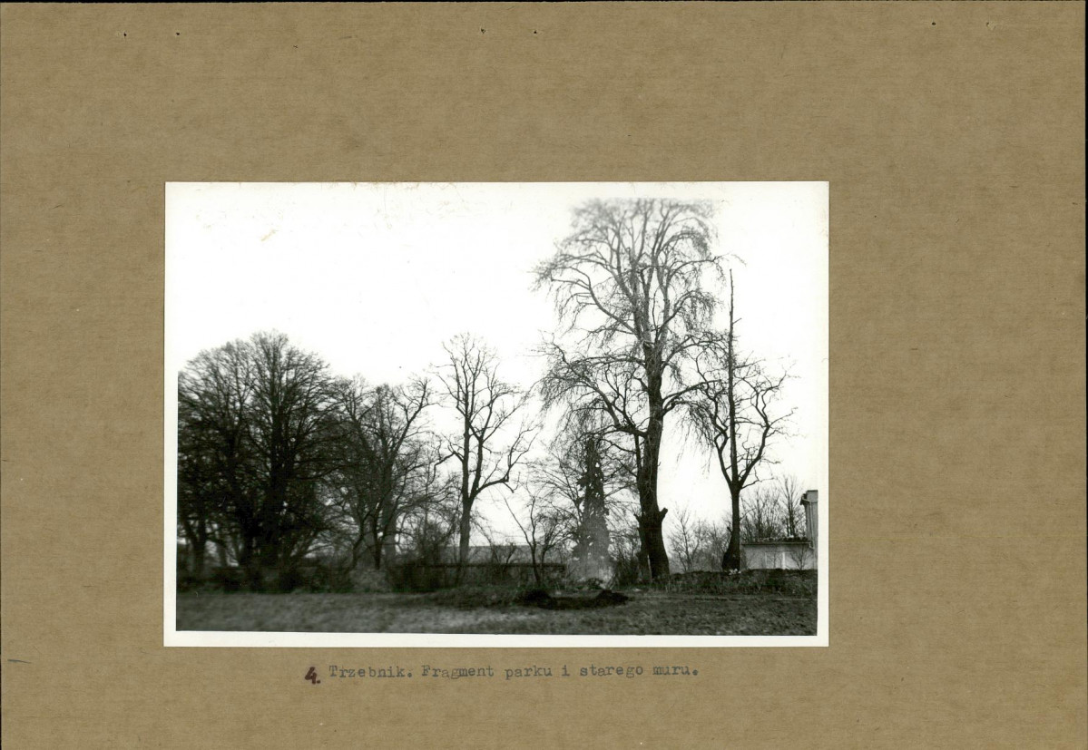 Ewidencja parkowa, skan nr 17