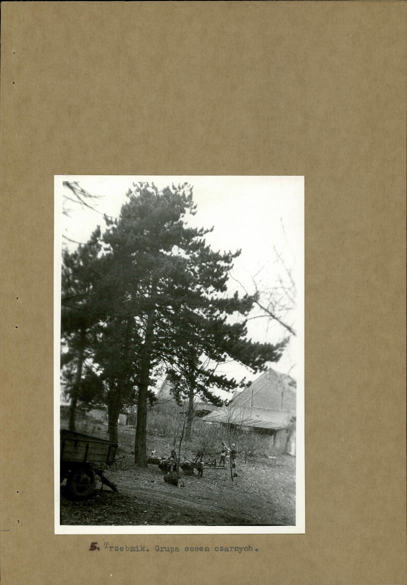 Ewidencja parkowa, skan nr 18