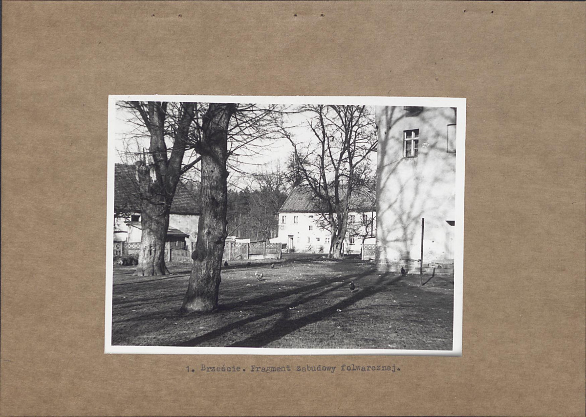 Ewidencja parkowa, skan nr 13