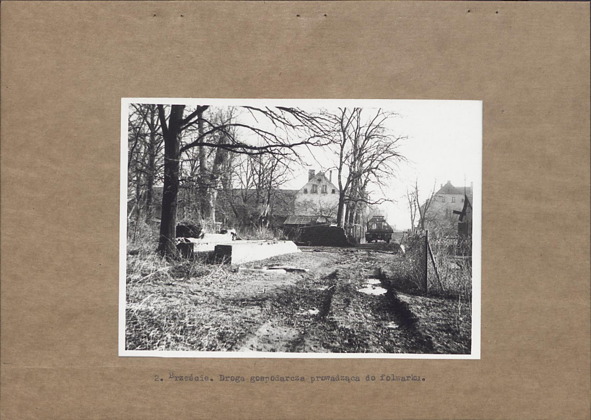 Ewidencja parkowa, skan nr 14