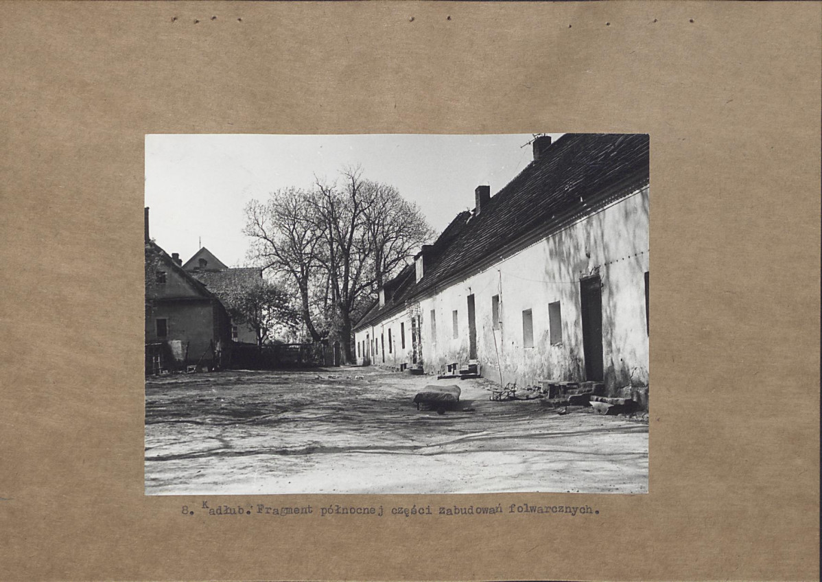 Ewidencja parkowa, skan nr 20