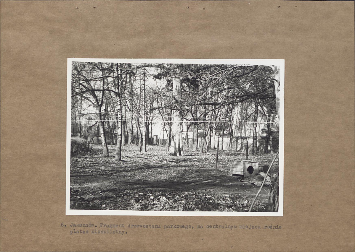 Ewidencja parkowa, skan nr 19