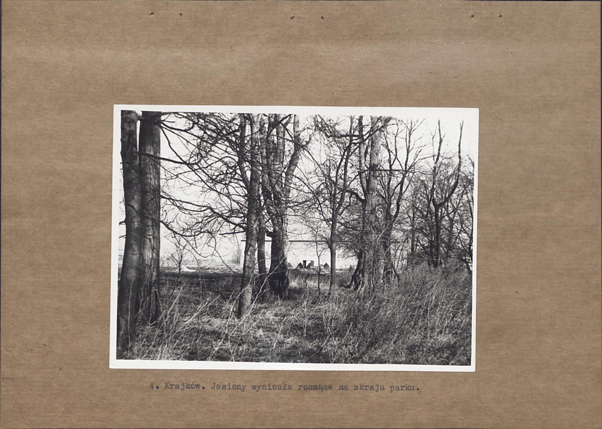 Ewidencja parkowa, skan nr 16