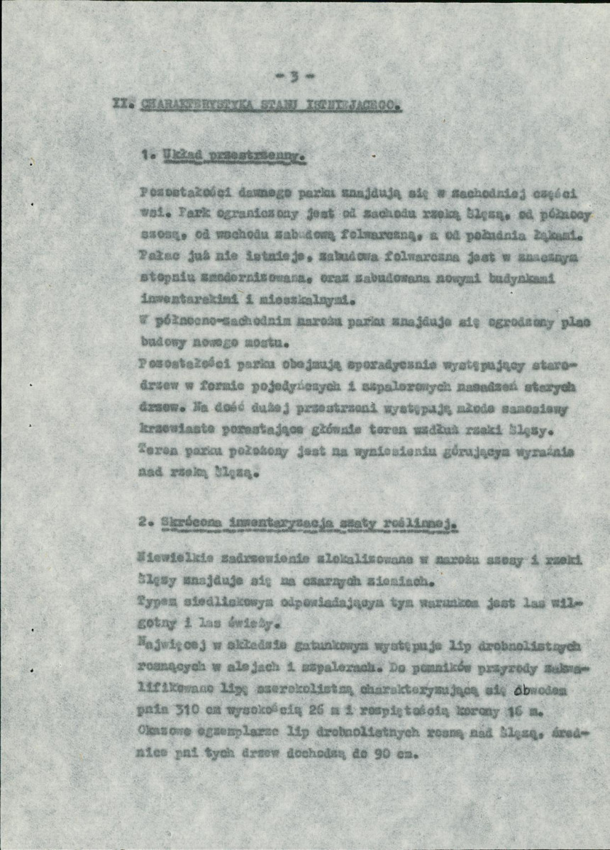 Ewidencja parkowa, skan nr 10