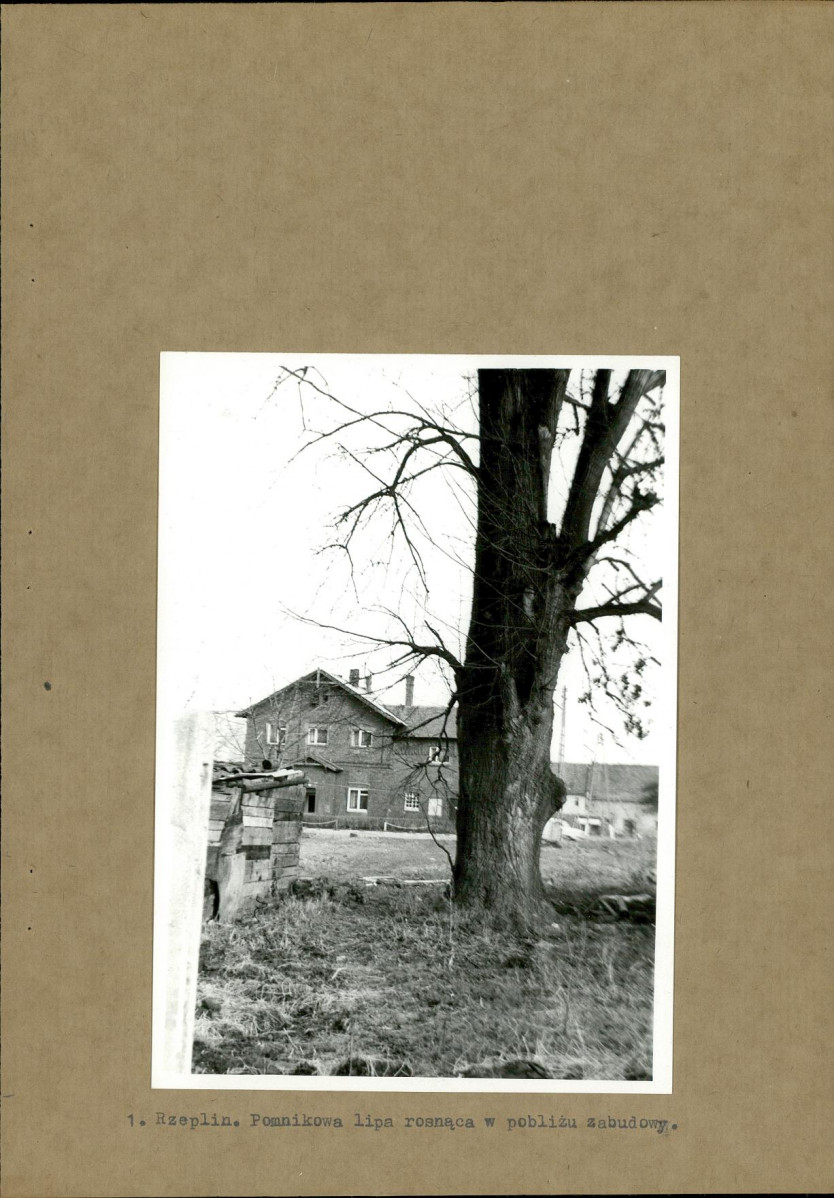 Ewidencja parkowa, skan nr 13