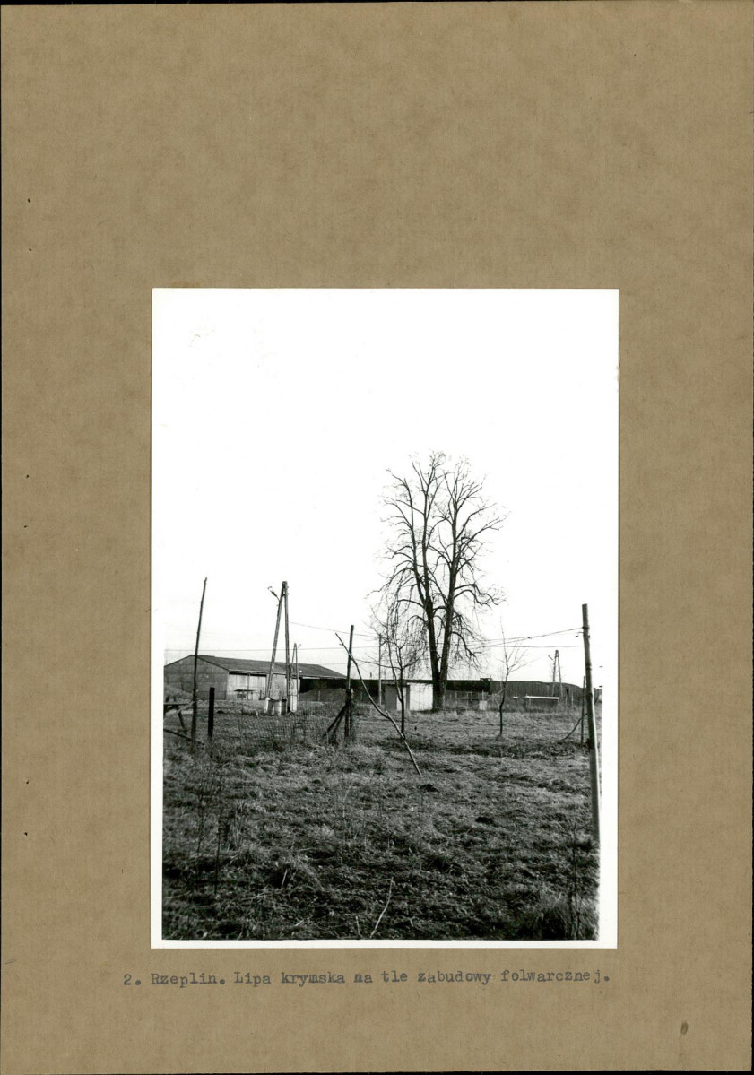 Ewidencja parkowa, skan nr 14