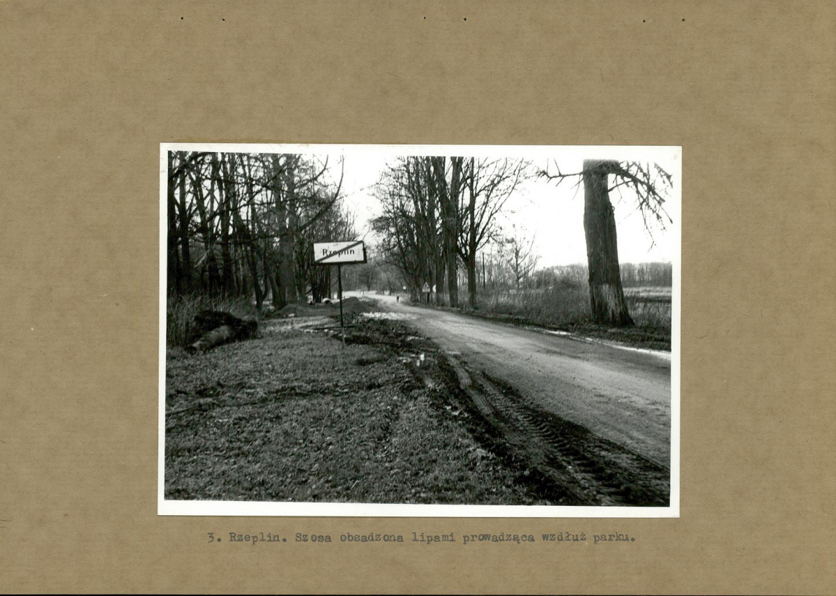 Ewidencja parkowa, skan nr 15