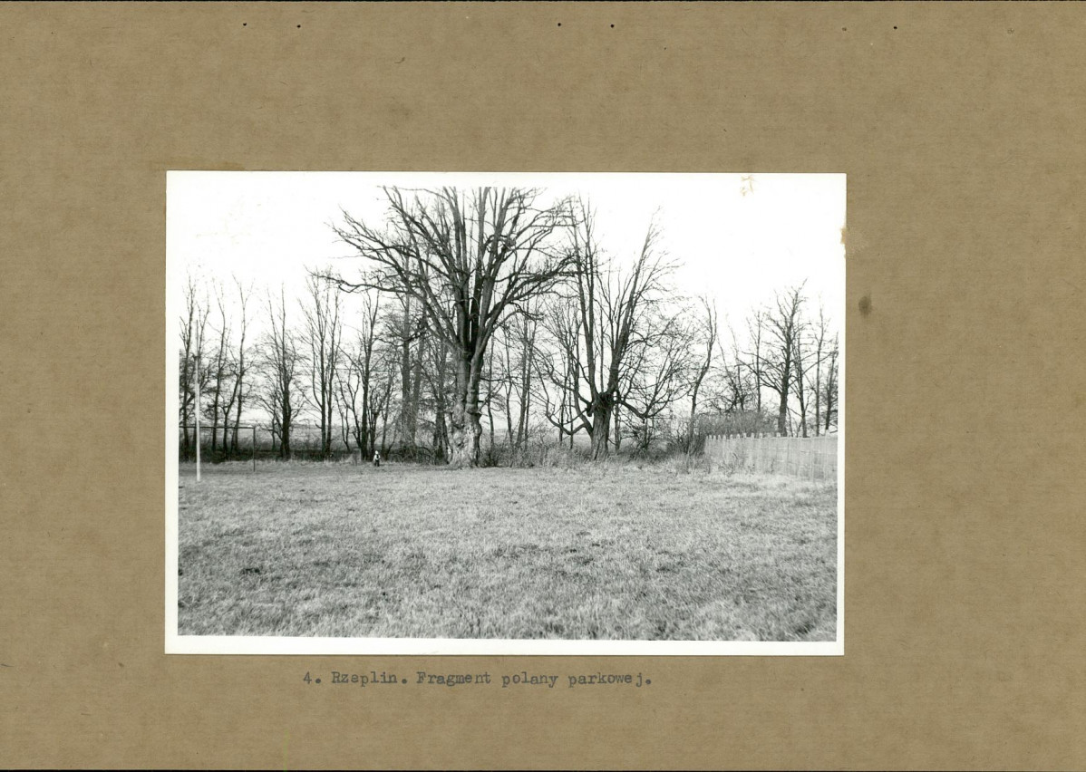 Ewidencja parkowa, skan nr 16