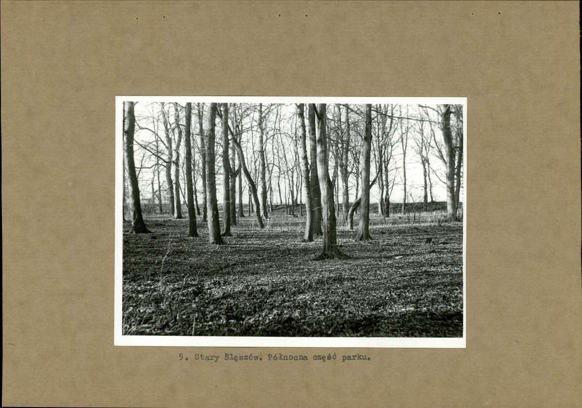 Ewidencja parkowa, skan nr 17