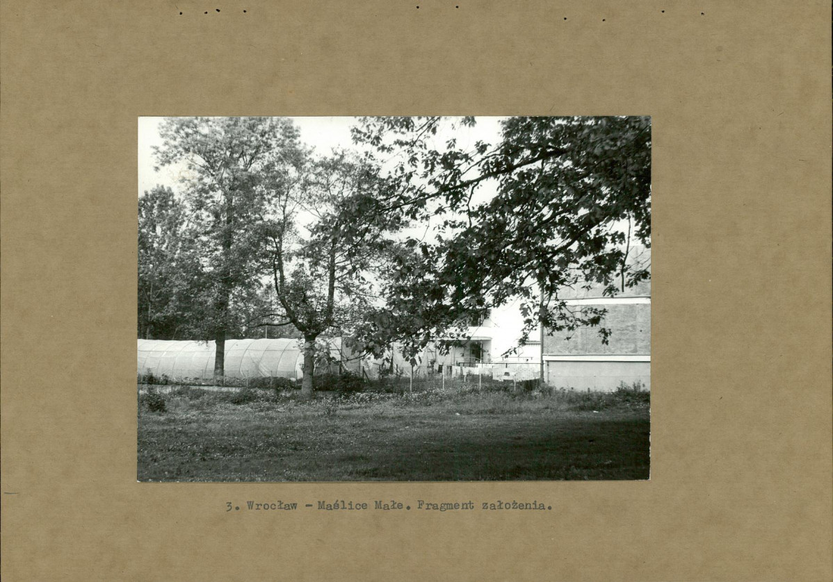Ewidencja parkowa, skan nr 19