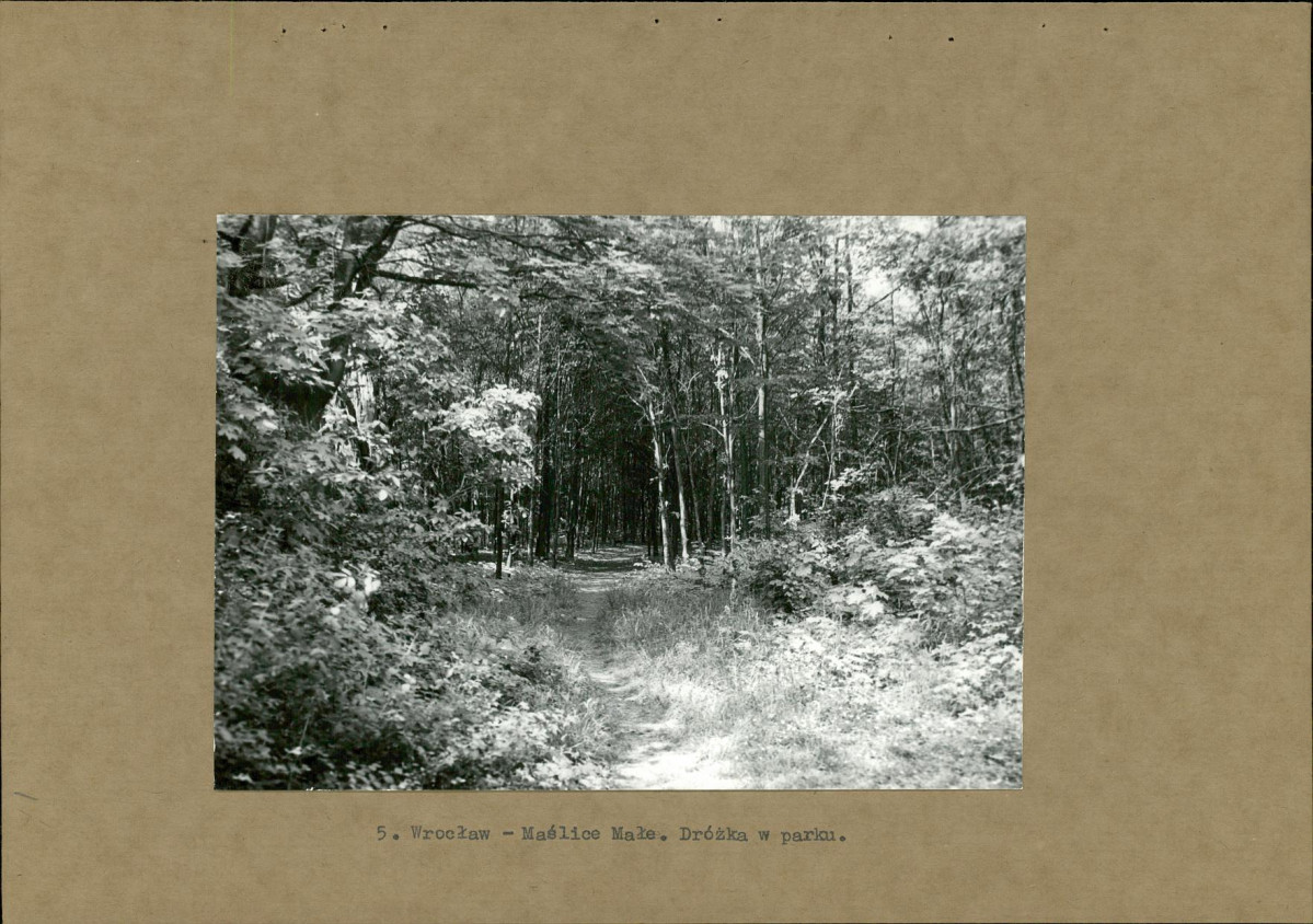 Ewidencja parkowa, skan nr 21