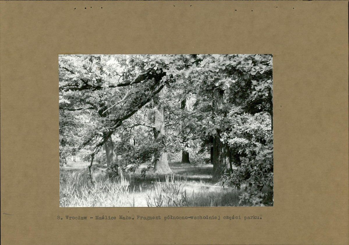 Ewidencja parkowa, skan nr 24