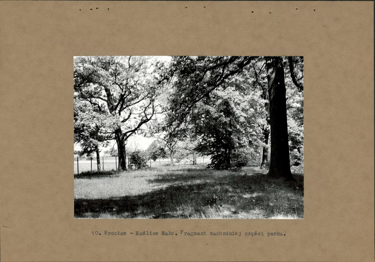 Ewidencja parkowa, skan nr 26