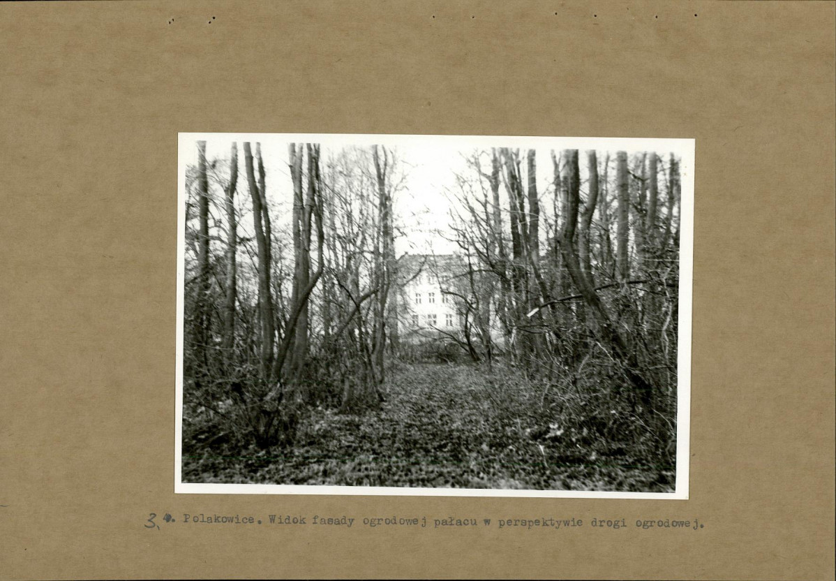 Ewidencja parkowa, skan nr 14