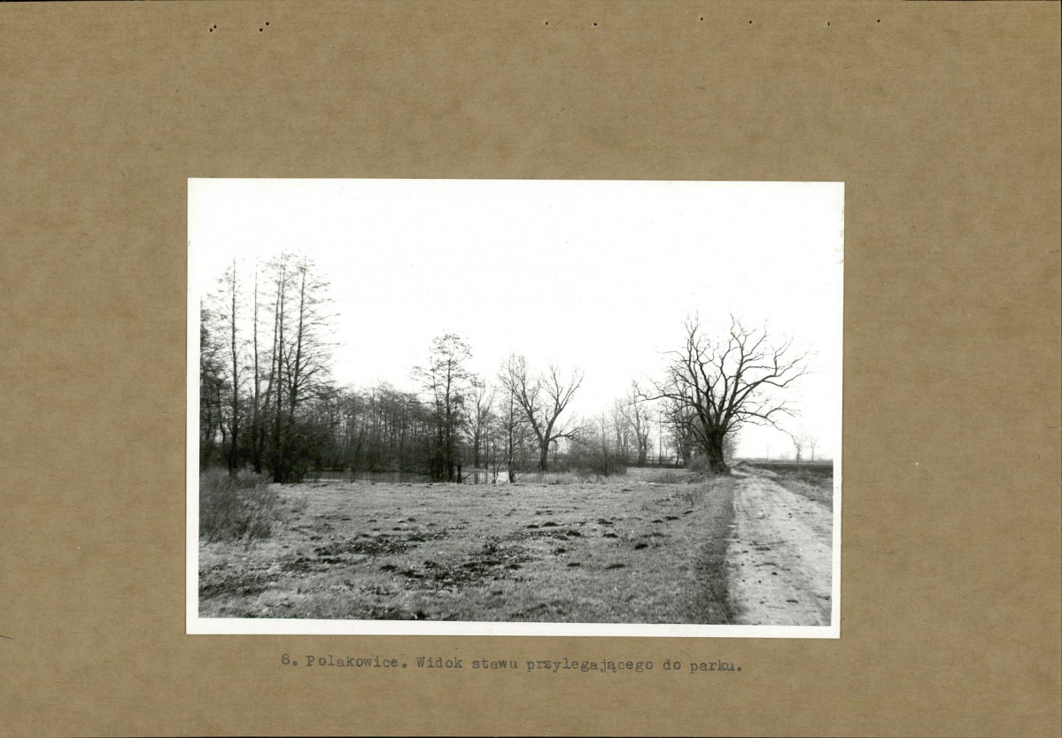Ewidencja parkowa, skan nr 19