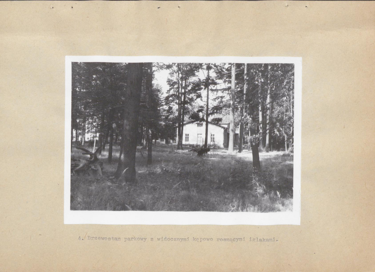 Ewidencja parkowa, skan nr 20