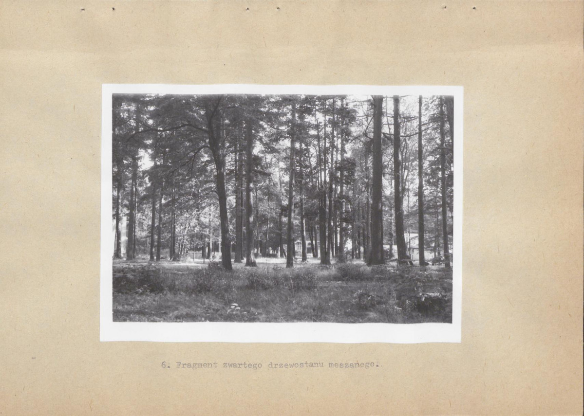 Ewidencja parkowa, skan nr 22