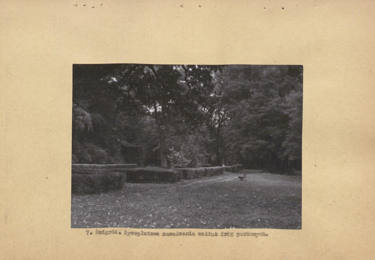 Ewidencja parkowa, skan nr 32