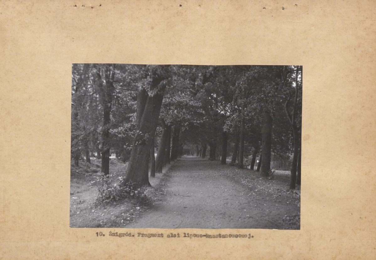 Ewidencja parkowa, skan nr 35