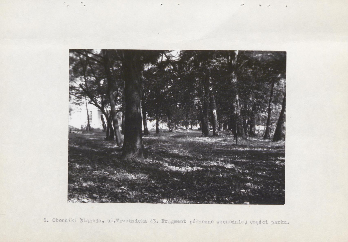 Ewidencja parkowa, skan nr 19