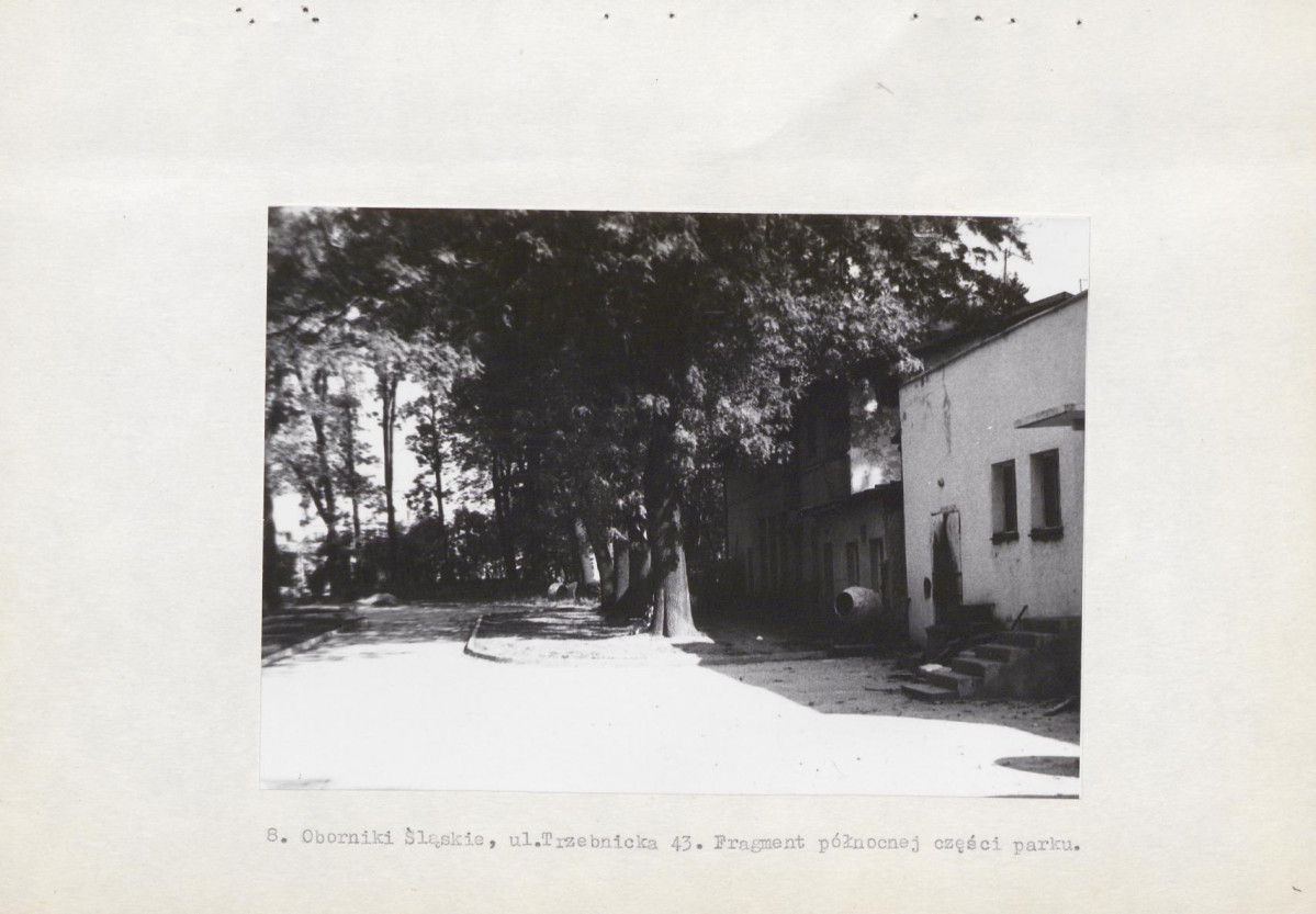 Ewidencja parkowa, skan nr 21