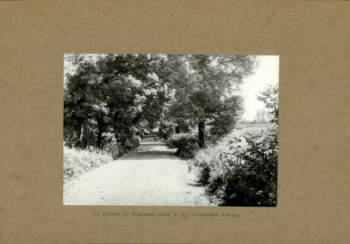 Ewidencja parkowa, skan nr 16