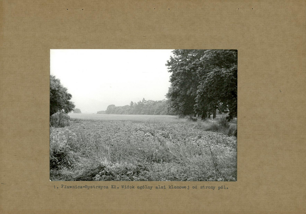 Ewidencja parkowa, skan nr 11