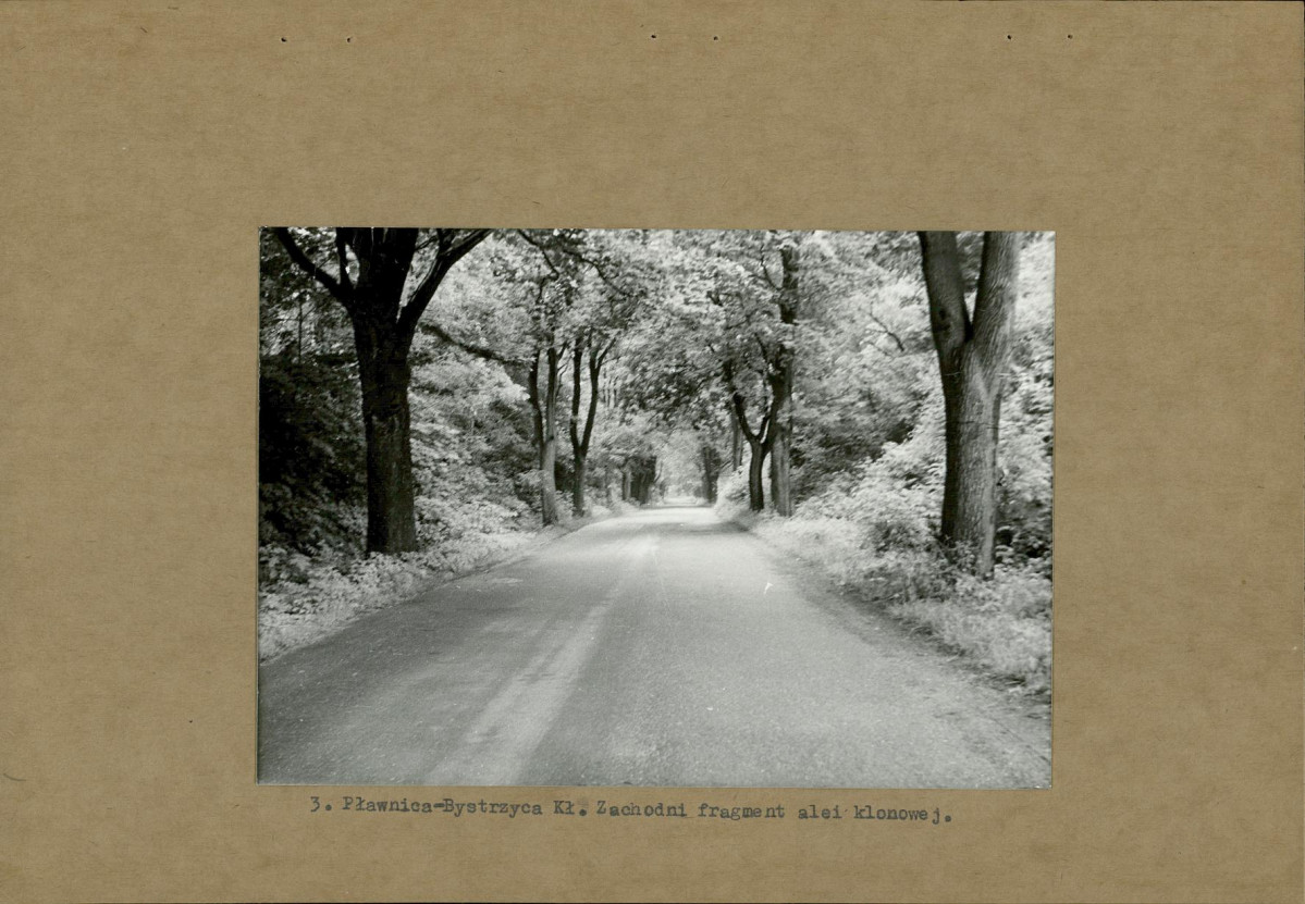Ewidencja parkowa, skan nr 13