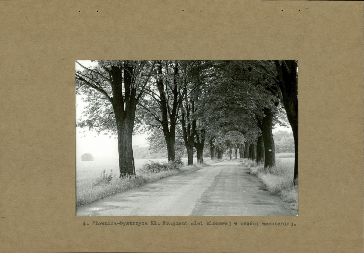 Ewidencja parkowa, skan nr 14