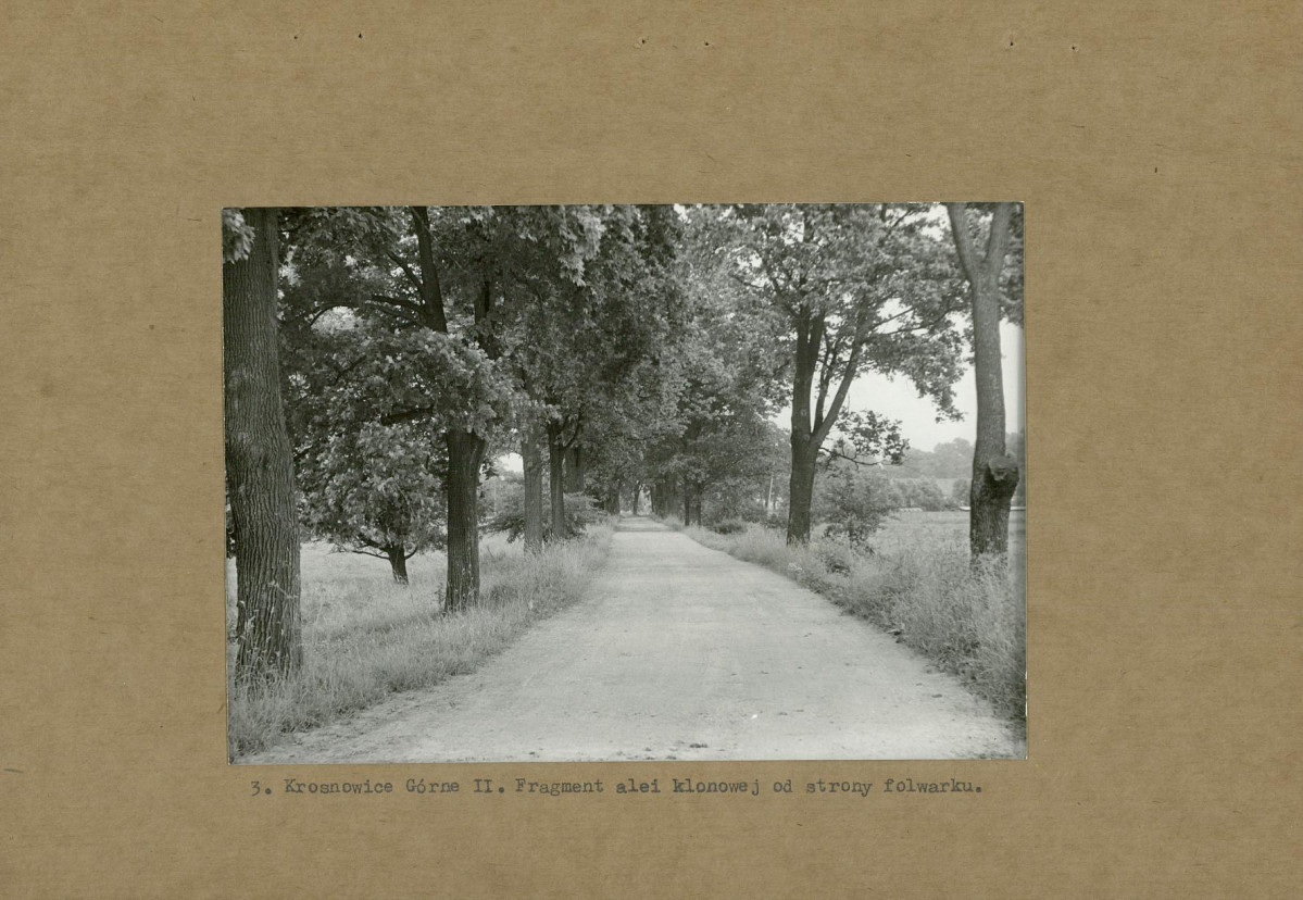 Ewidencja parkowa, skan nr 13