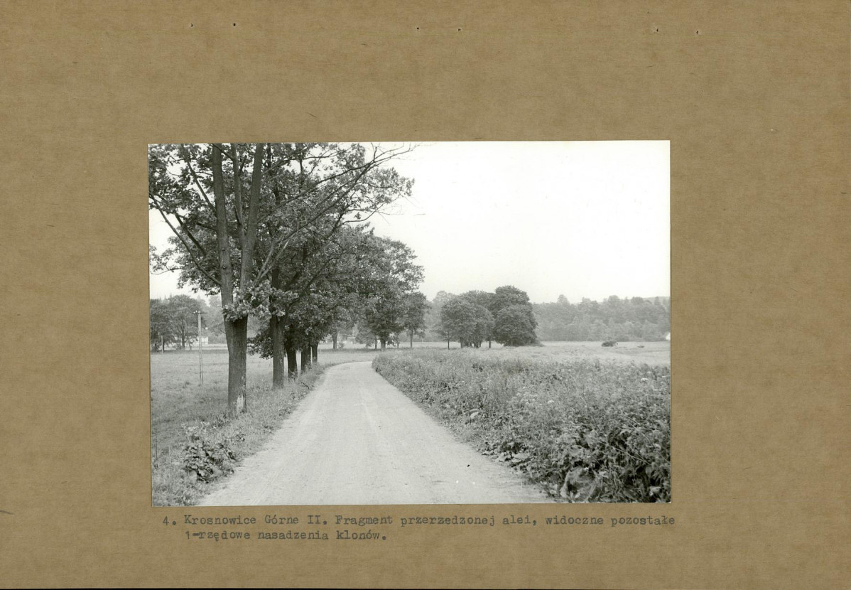 Ewidencja parkowa, skan nr 14