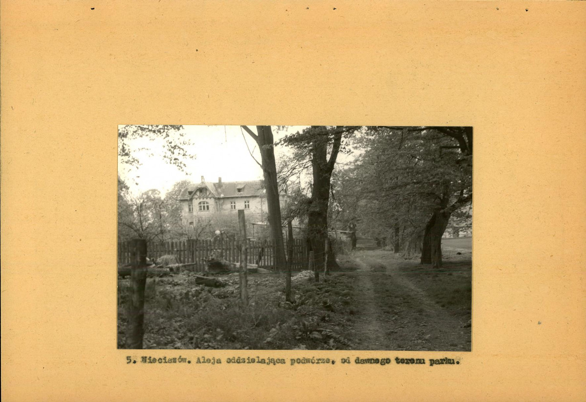 Ewidencja parkowa, skan nr 17