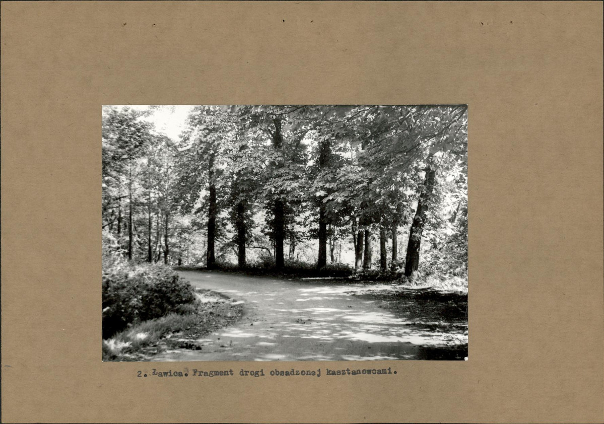 Ewidencja parkowa, skan nr 11