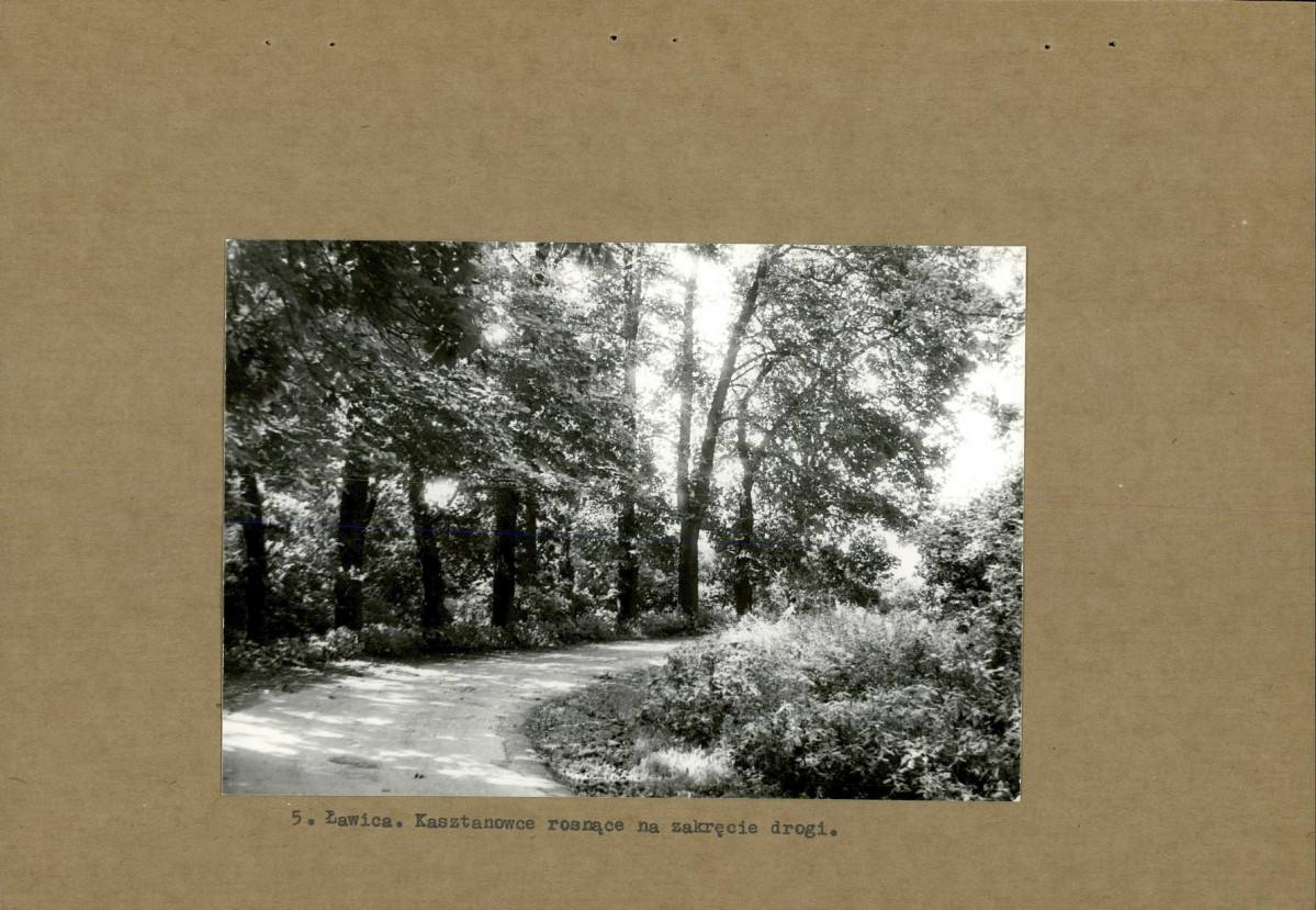 Ewidencja parkowa, skan nr 14