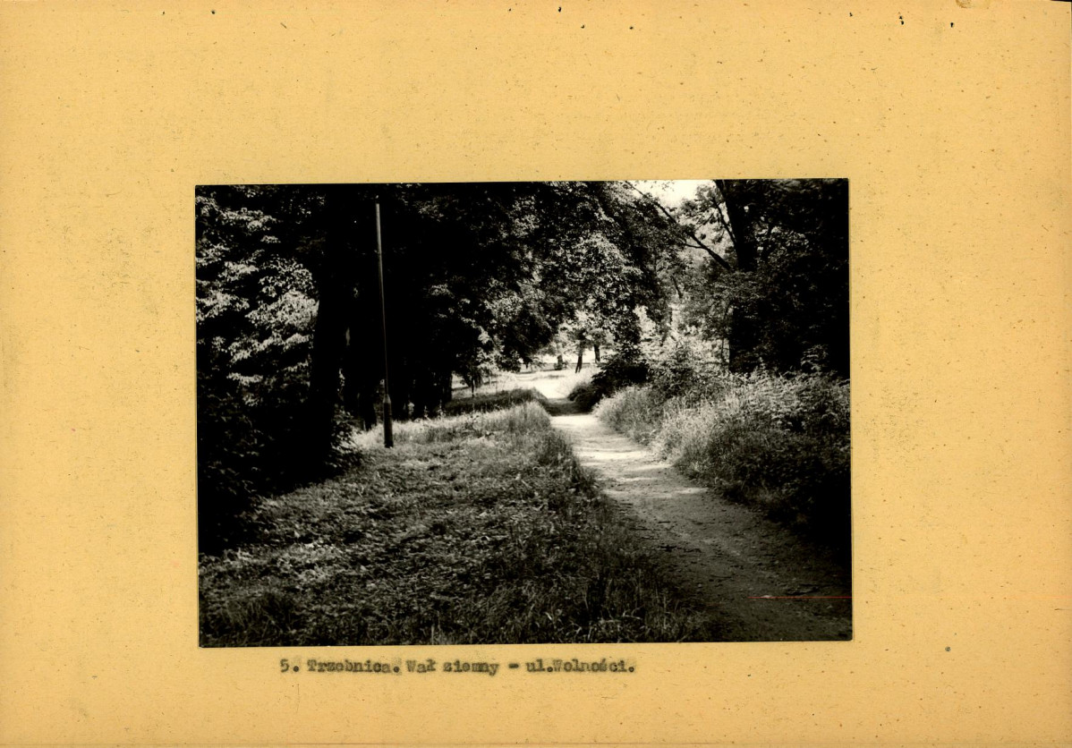 Ewidencja parkowa, skan nr 23