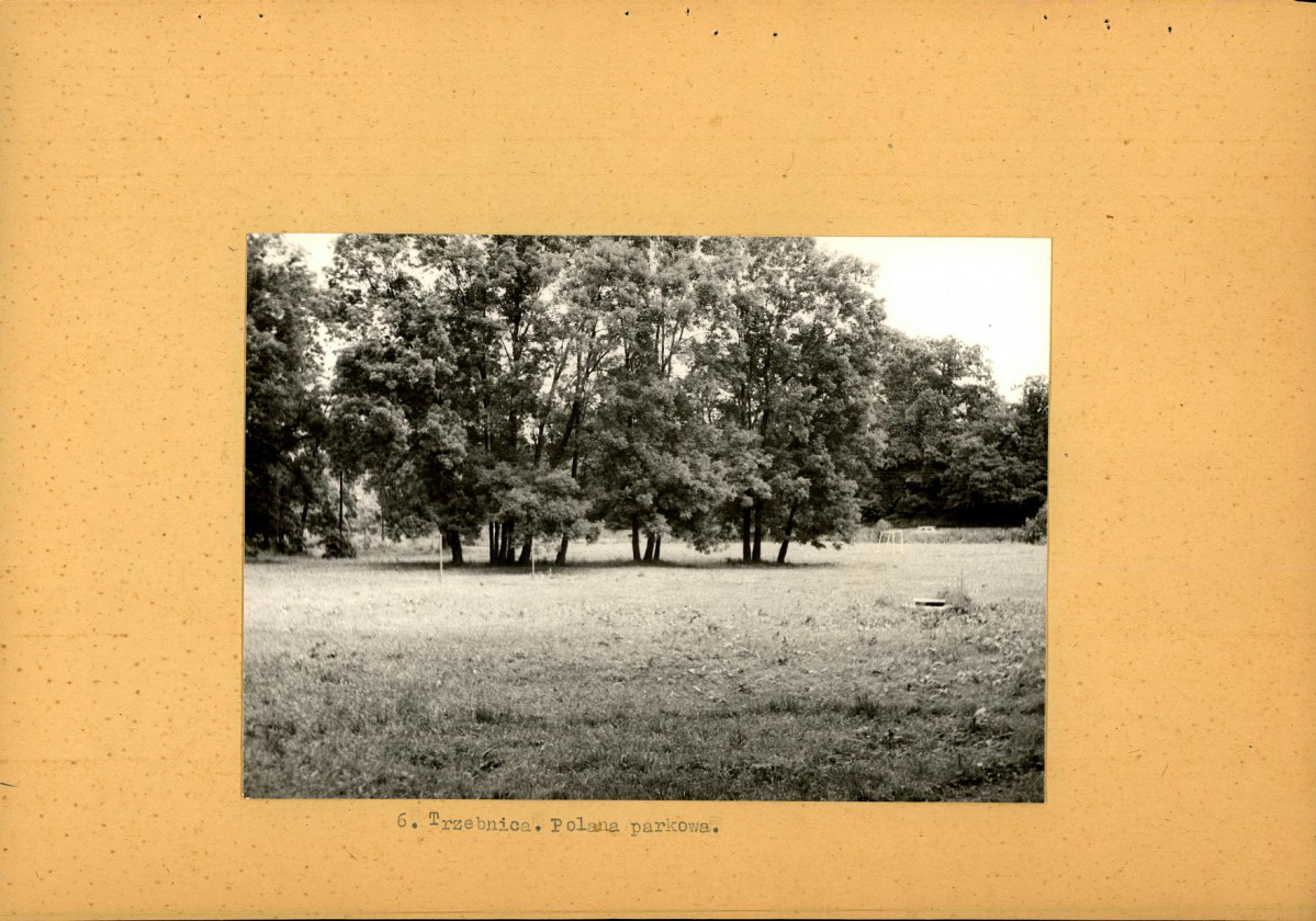 Ewidencja parkowa, skan nr 24