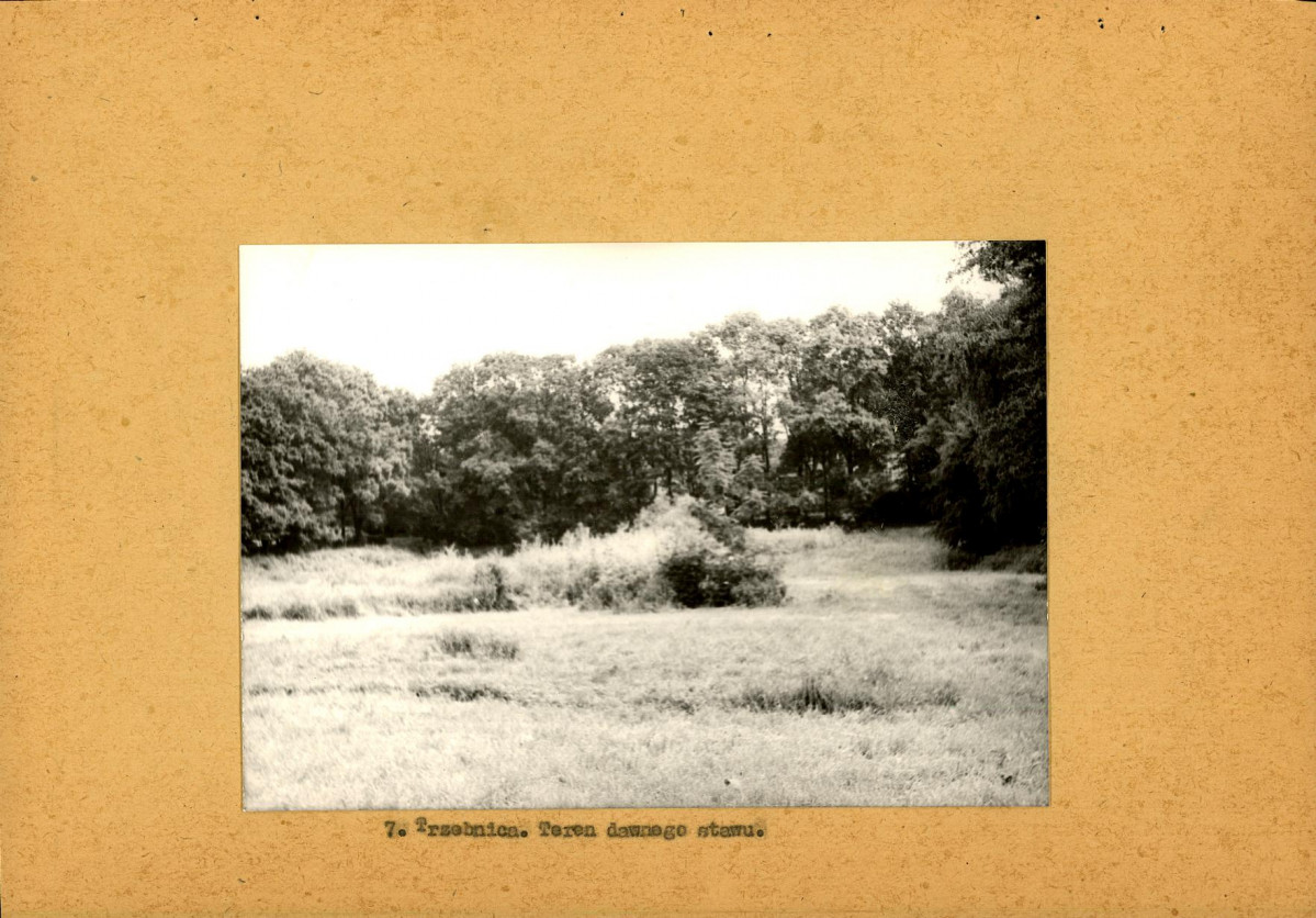 Ewidencja parkowa, skan nr 25