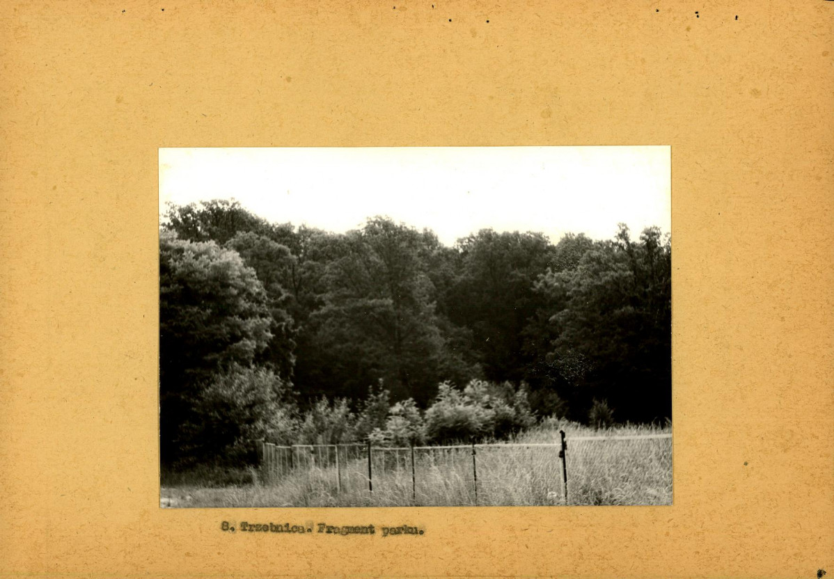 Ewidencja parkowa, skan nr 26