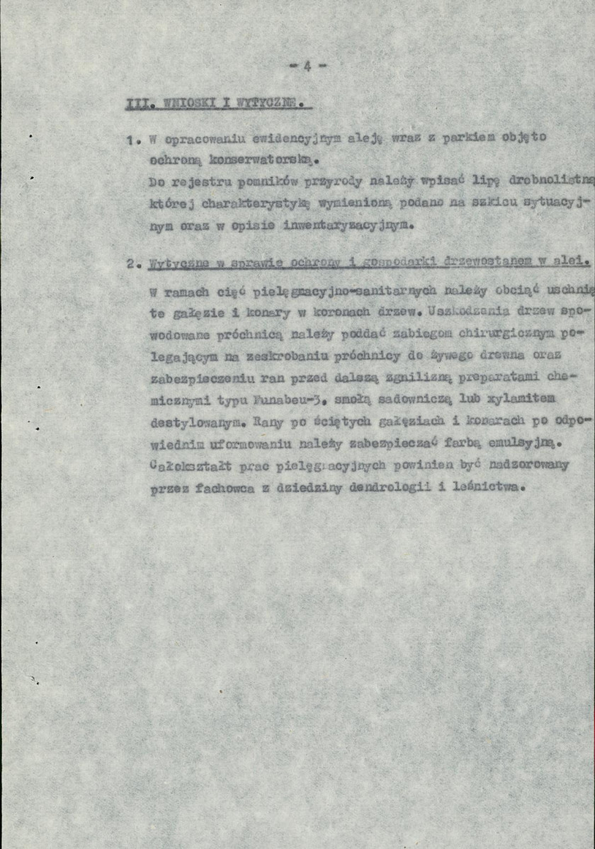 Ewidencja parkowa, skan nr 10