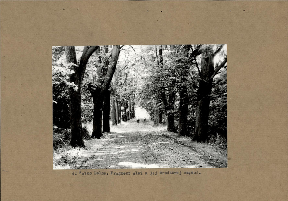 Ewidencja parkowa, skan nr 14