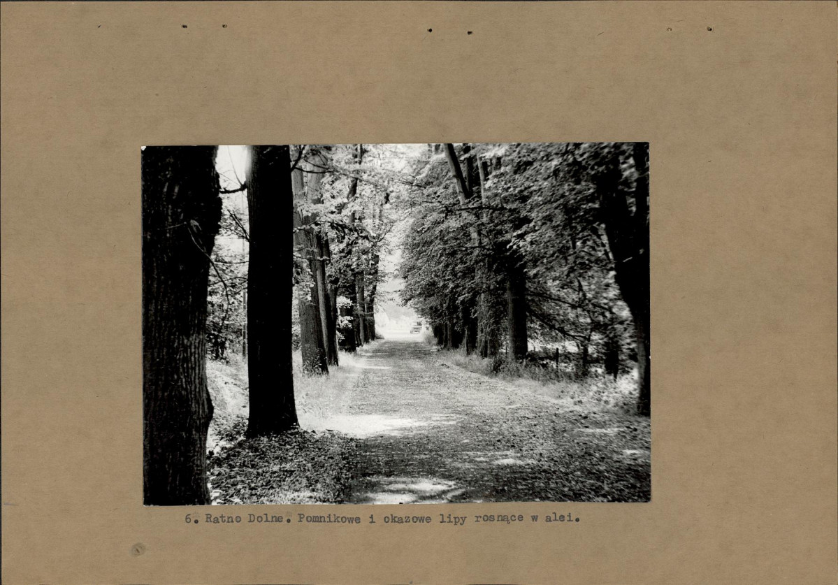 Ewidencja parkowa, skan nr 16