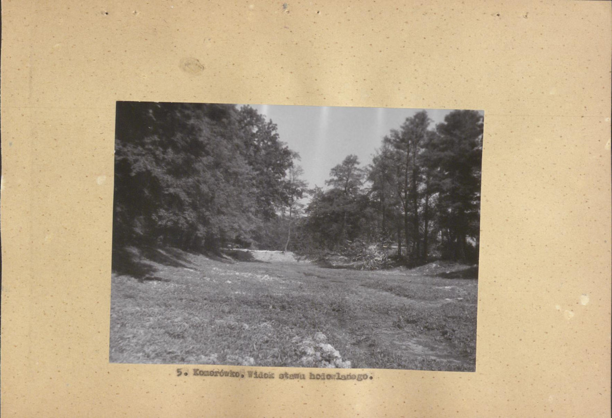 Ewidencja parkowa, skan nr 18