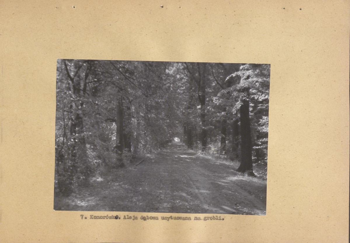 Ewidencja parkowa, skan nr 20