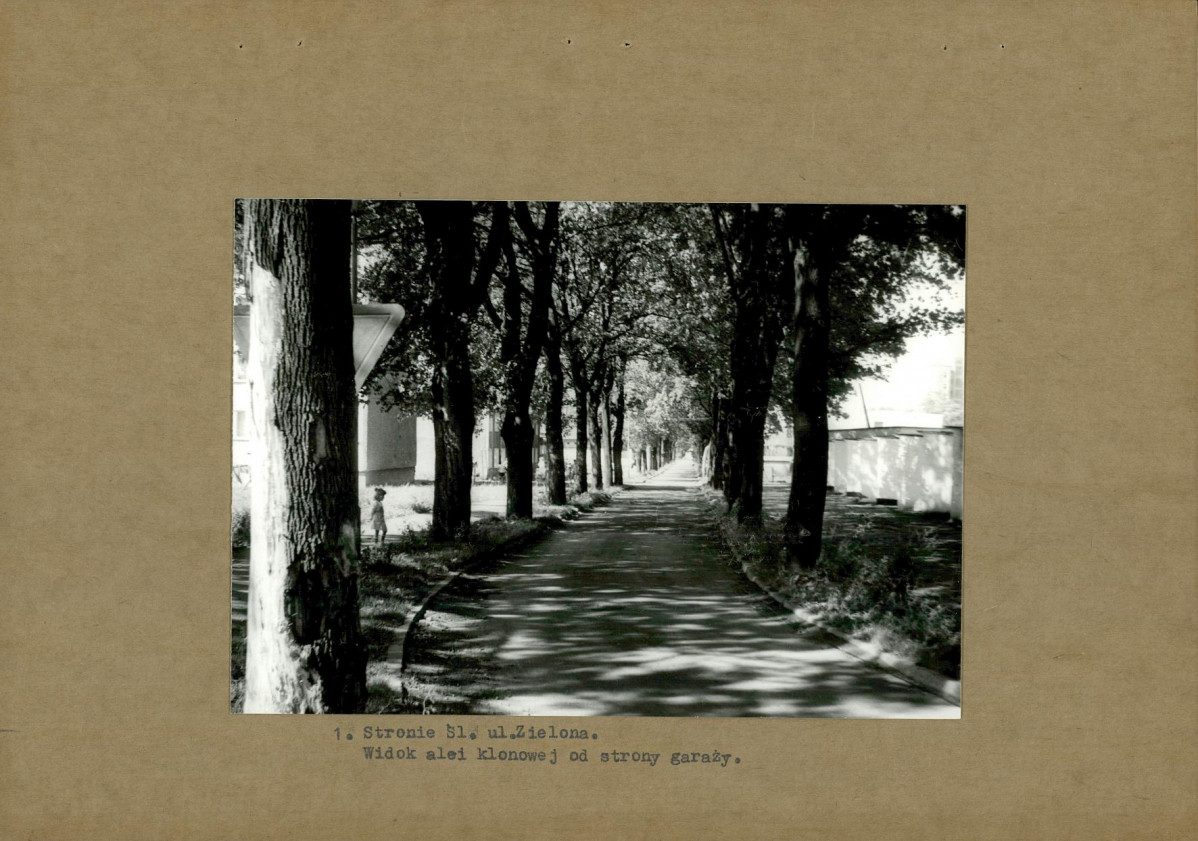 Ewidencja parkowa, skan nr 11