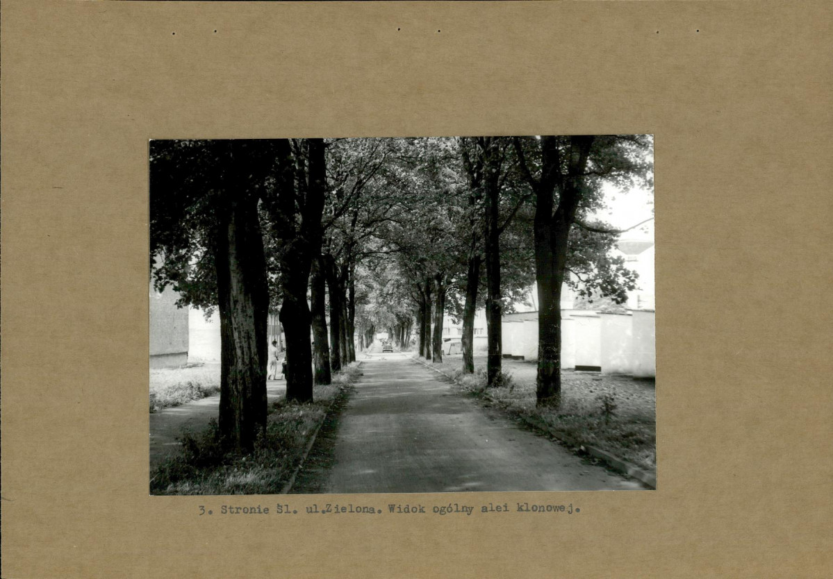 Ewidencja parkowa, skan nr 13